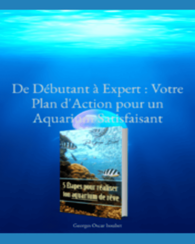 Les 5 étapes pour réaliser votre aquarium de rêve